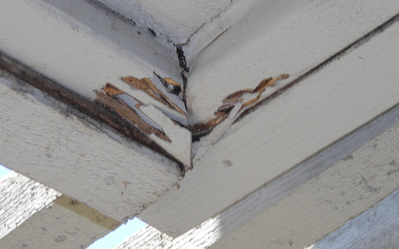 wood termite damage