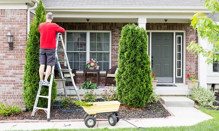 spring cleaning texas pest control gga pest management